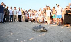 Doğuştan engelli carettaya uydu izleme cihazı