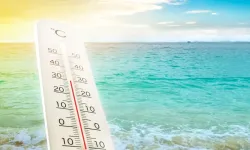 Antalya Körfezi alarm veriyor