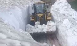 Temmuz ortasında 3 metre kar