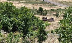 Piknik yolunda facia: 1 ölü, 23 yaralı