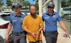 Kediye tekme atan şahıs tutuklandı