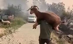 Yangından kurtardığı keçiyi sırtında taşıdı