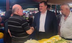 Kayamakamdan pazar ziyareti