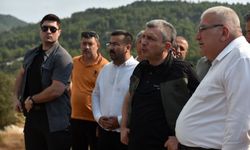 Vali Şahin yangın bölgesinde