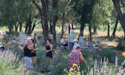 Kemer'de 'Lavanta Tanıtım Etkinlikleri'ne büyük ilgi