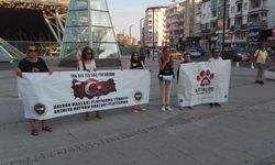 Nekropol Müzesi önündeki kuş nöbeti 51'inci gününde