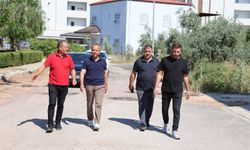 Başkan Dal yol çalışmalarını yerinde inceledi