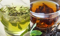 Çayın faydaları saymakla bitmiyor