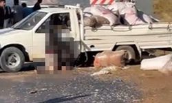 Alanya'da kamyonet sürücüsü kazada hayatını kaybetti