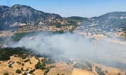 Antalya'da orman yangını