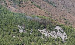 Kemer'deki orman yangını kontrol altında