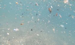 Akdeniz'de mikroplastik tehlikesi