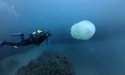 Antalya dalış tutkunlarını ağırlıyor