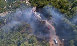Alanya'daki yangın kontrol altında