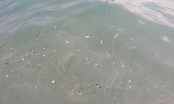 Konyaaltı Plajı'nda mikroplastik tehlikesi!