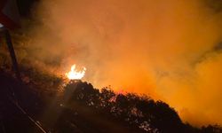 Gazipaşa’da makilik alanda yangın