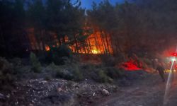 Alanya'da orman yangını