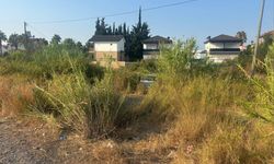Manavgat'ta zincirleme kaza