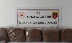 Alanya ve Demre'de kaçakçılara geçit yok