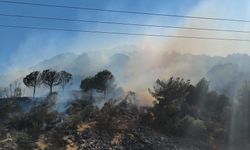 Antalya'da iki ilçede orman yangını