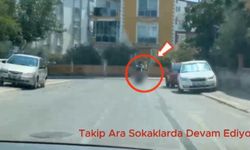 Kepez'de uyuşturucu operasyonu