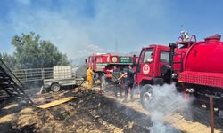 Manavgat'ta zeytinlik yangını