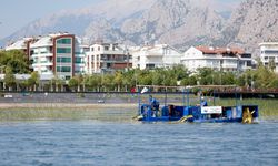 Boğaçayı sucul otlardan temizleniyor
