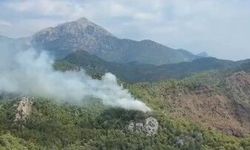 Kemer'de orman yangını