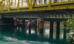 Manavgat Irmağı'nda tehlikeli serinlik