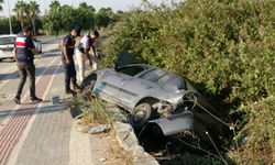 Yayaya çarpıp şarampole devrildi