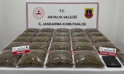 Uyuşturucu operasyonunda 13 kişi yakalandı