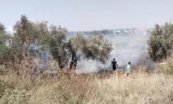 Manavgat'ta tarım arazisinde yangın