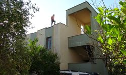 Manavgat'ta usturalı eylem