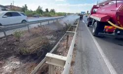 Araçtan atılan izmarit yangına neden oldu