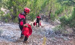 Manavgat orman yangınında çalışmalar devam ediyor