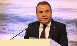 Kötü haberi Böcek verdi