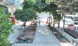 Büyükşehir'den 3 bulvarda yenileme çalışması