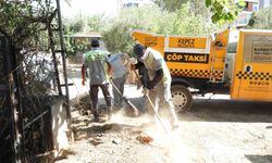 Kepez'de çöp ev temizlendi
