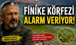 Mikroplastik alarmında bilimsel inceleme çağrısı