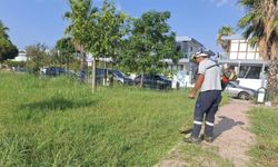 Aksu’da park alanlarında bakım