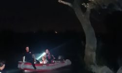 Manavgat Irmağı'nda mahsur kaldı
