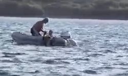 Ayvalık’ta can pazarı