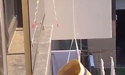 Kediyi plaj çantasıyla kurtardı