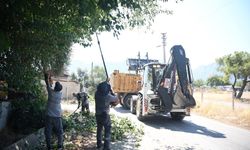 Konyaaltı'da budama çalışması