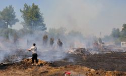Serik'te yangın panik yarattı