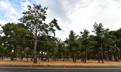 Kirişçiler Orman Parkı ihaleye çıkıyor
