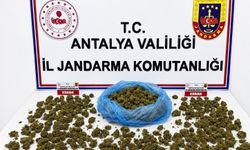 Jandarmadan uyuşturucu operasyonu