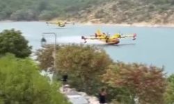 Fransa'da orman yangını yeniden alevlendi