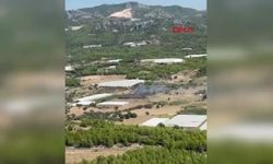 Yangın büyümeden söndürüldü