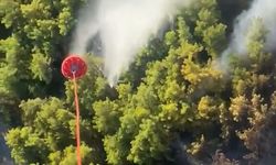 Manavgat'ta orman yangını
